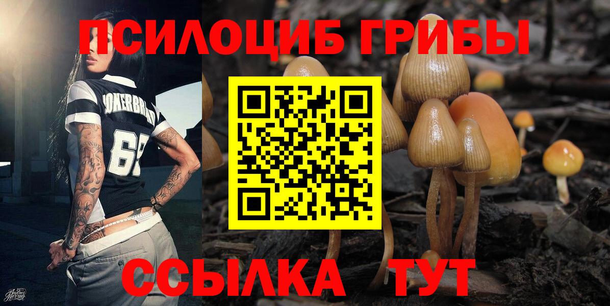 Гурьевск  Галлюциногенные грибы MAGIC MUSHROOMS  Галлюциногенные грибы мухоморы  Вход с VPN 